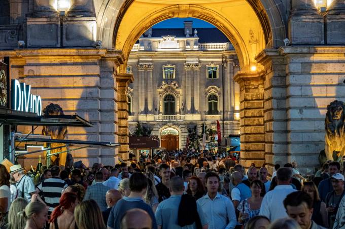 Borfesztival
