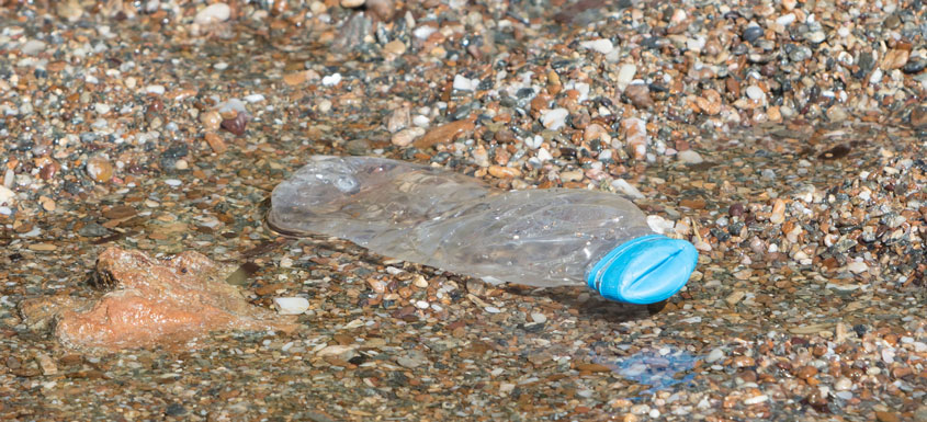 A Windex tisztítószer palackja óceáni műanyaghulladékból készül